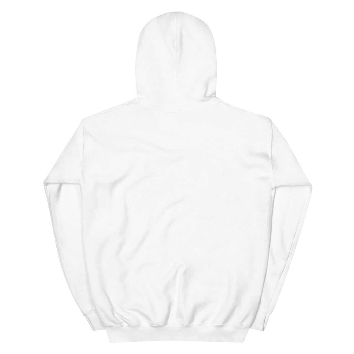 ONE WORLD • ONE TEAM Hoodie – Farbe Weiß, Rückansicht